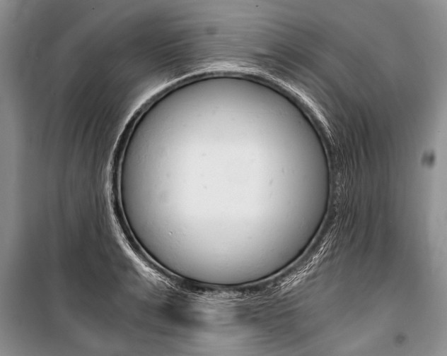 X0000101110991200806261104