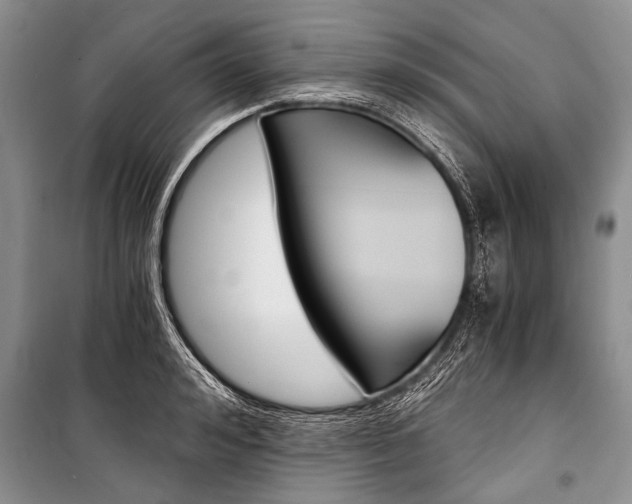 X0000101110992200806261104