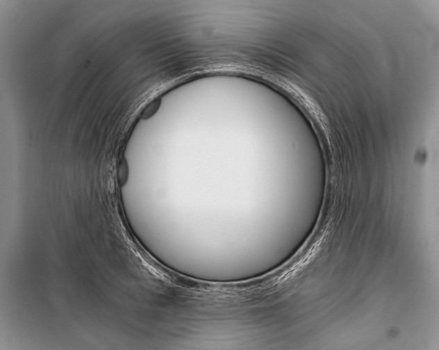 X0000101110993200806261104