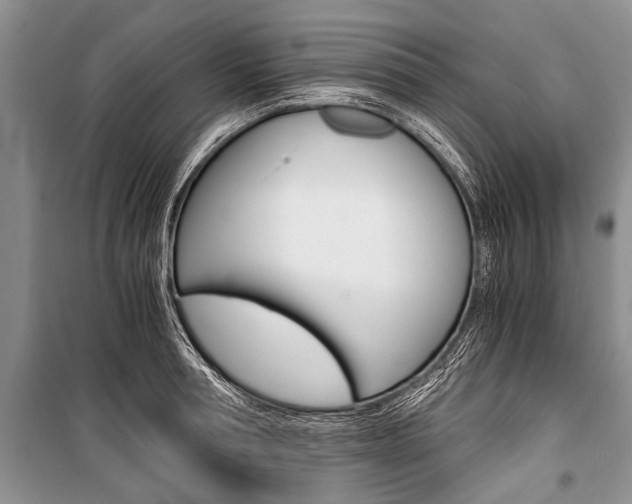 X0000101110994200806261104