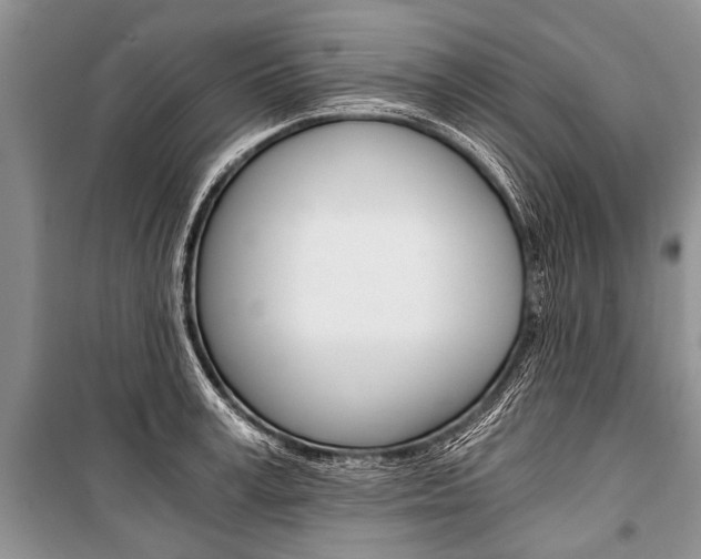 X0000101110995200806261104