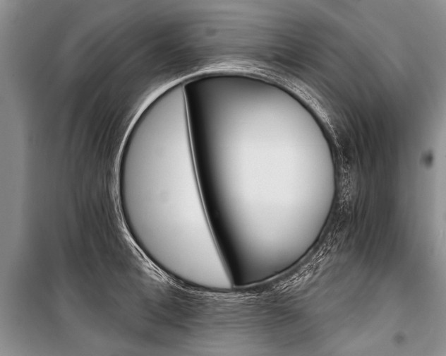X0000101110996200806261104