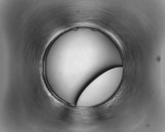X0000101110999200806261104