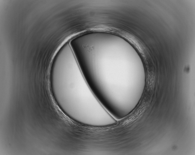 X0000101111000200806261104