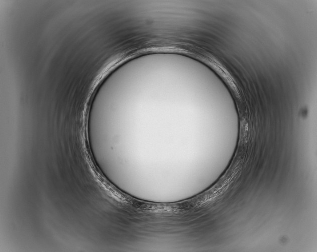 X0000101111002200806261104