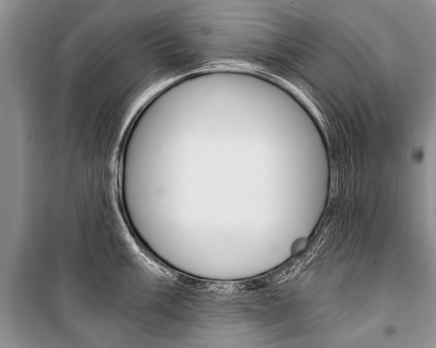 X0000101111003200806261104