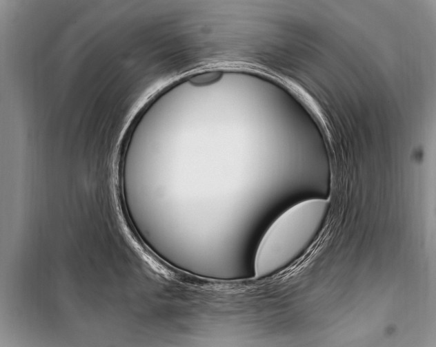 X0000101111005200806261104