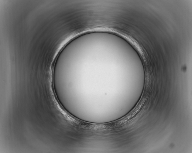 X0000101111006200806261104