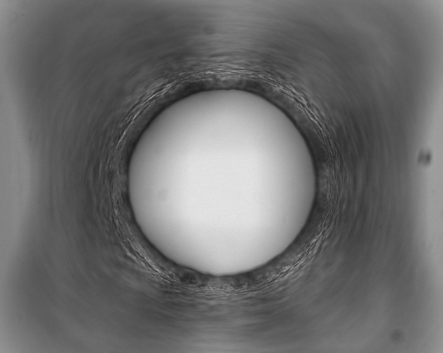 X0000101111009200806261103
