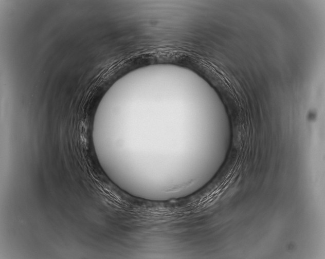 X0000101111010200806261103