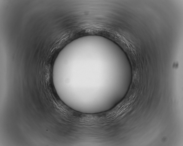 X0000101111012200806261103