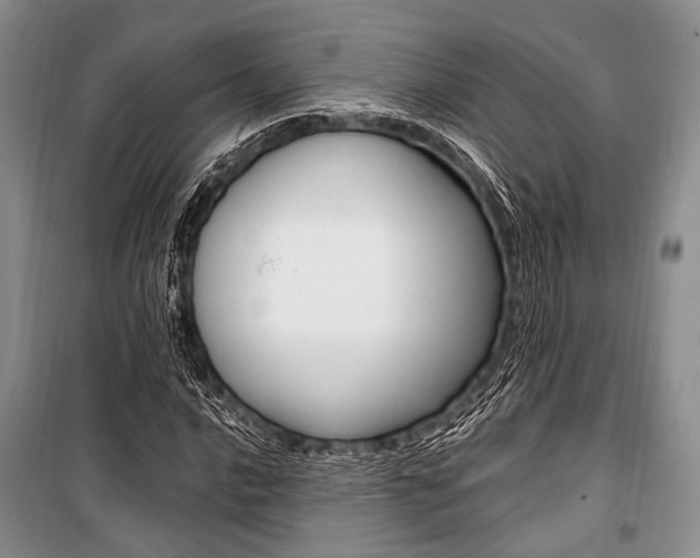X0000101111016200806261103