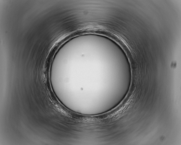 X0000101111018200806261103