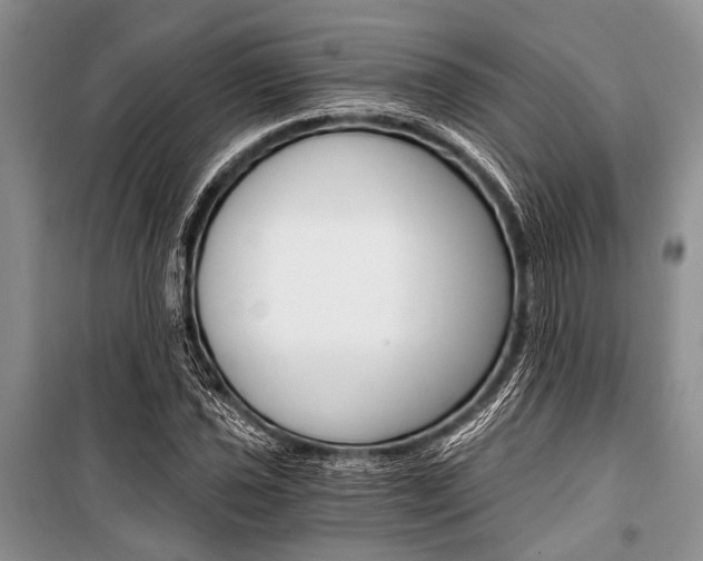 X0000101111021200806261103