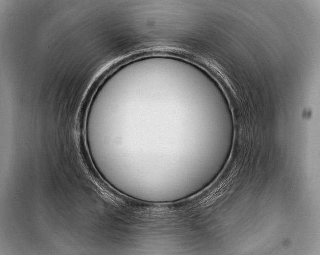 X0000101111024200806261103