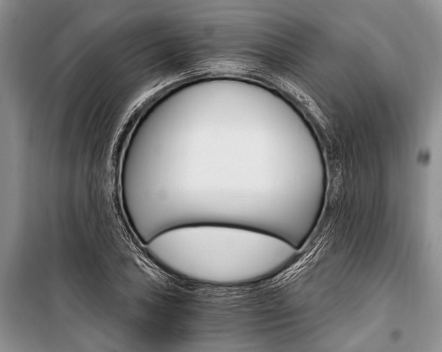 X0000101111027200806261103