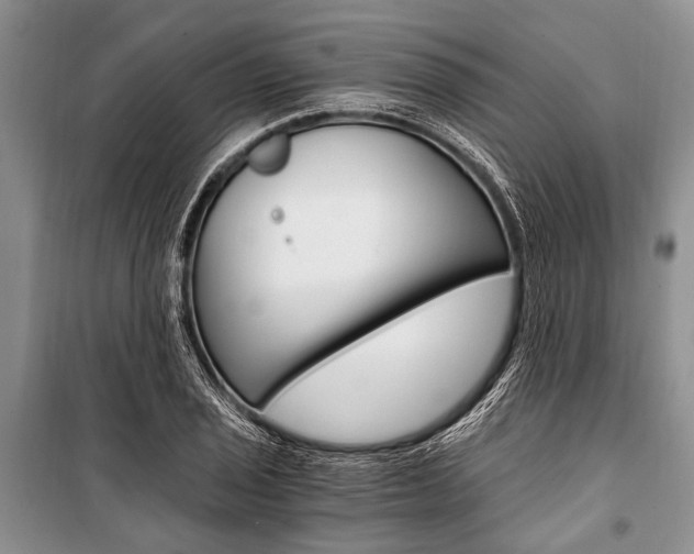 X0000101111029200806261103