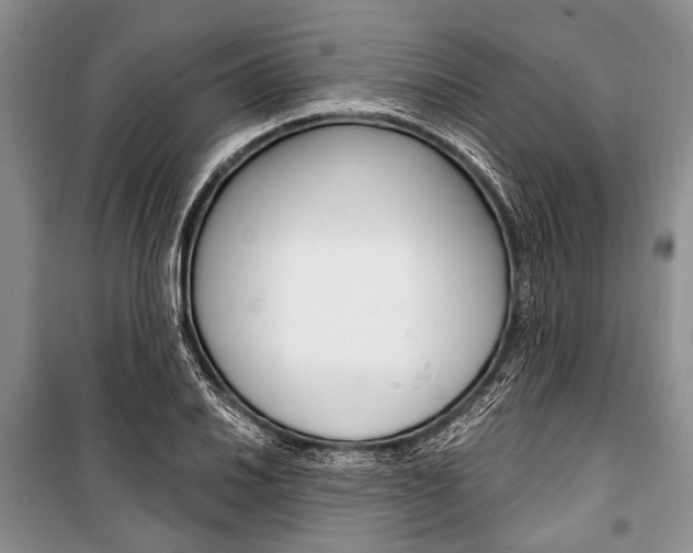 X0000101111030200806261103