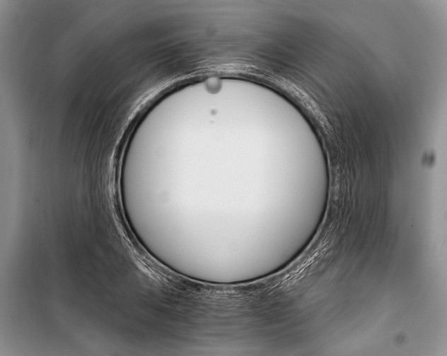 X0000101111031200806261103