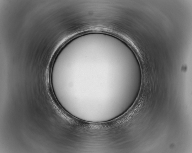 X0000101111032200806261103