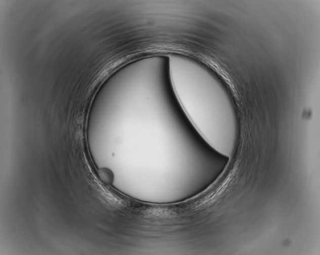 X0000101111033200806261103