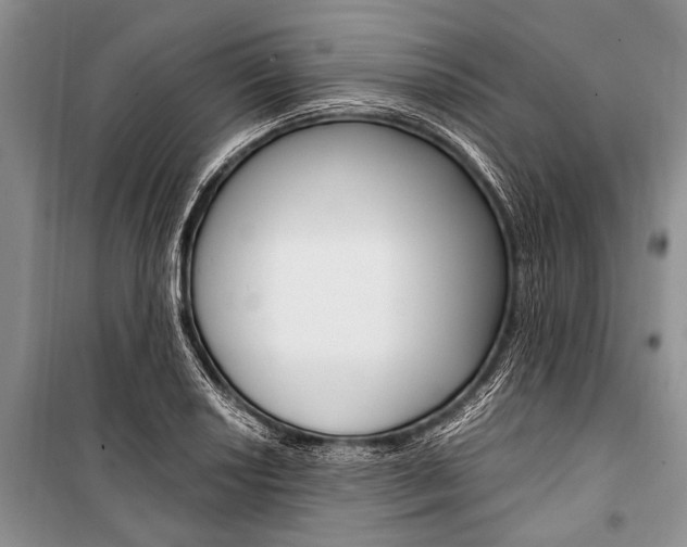 X0000101111034200806261103