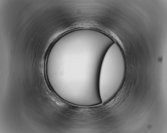 X0000101111035200806261103