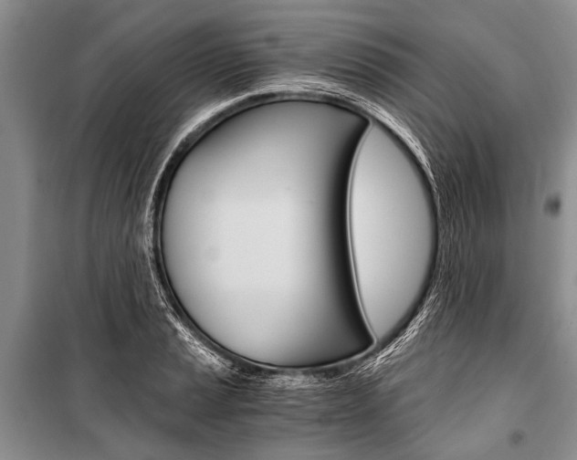 X0000101111037200806261103