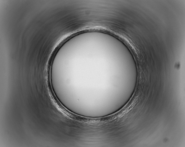 X0000101111038200806261104