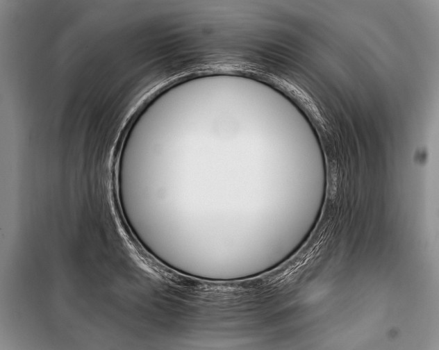 X0000101111039200806261104