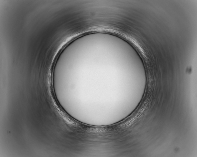 X0000101111040200806261104