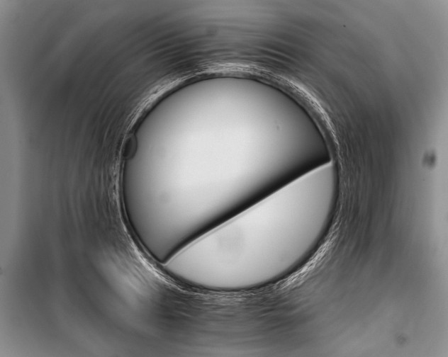 X0000101111041200806261104