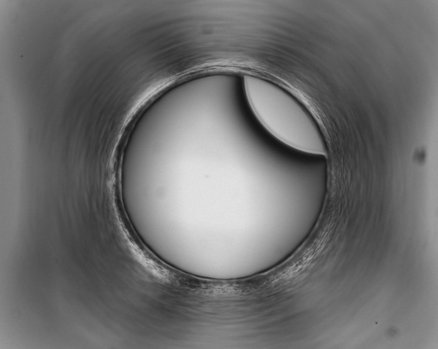 X0000101111042200806261104