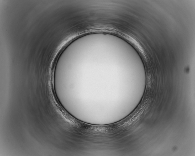 X0000101111043200806261104