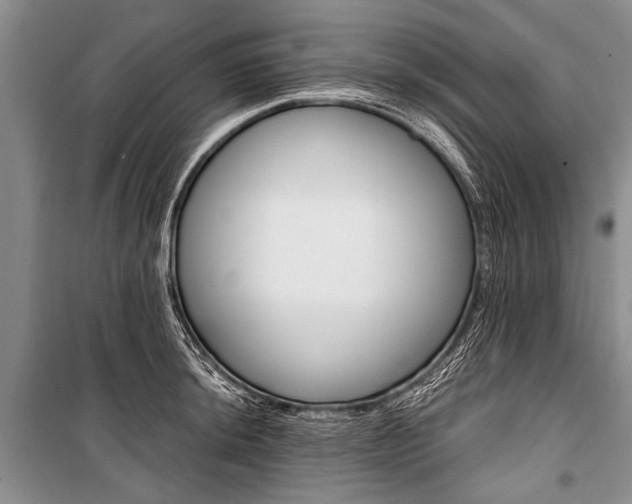 X0000101111044200806261104