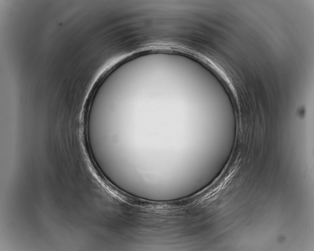 X0000101111045200806261104