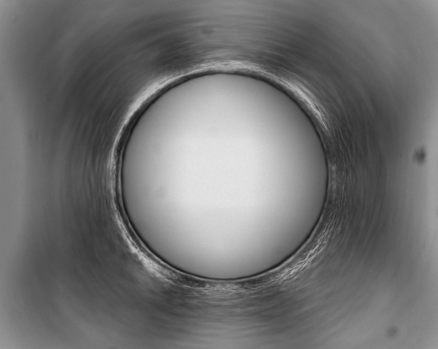 X0000101111046200806261104