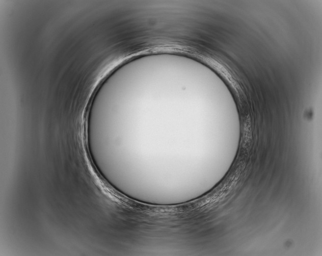 X0000101111047200806261104