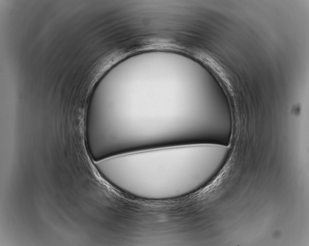 X0000101111049200806261104