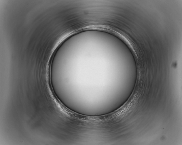 X0000101111050200806261104
