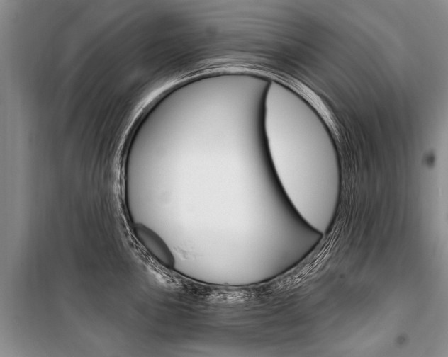 X0000101111051200806261104