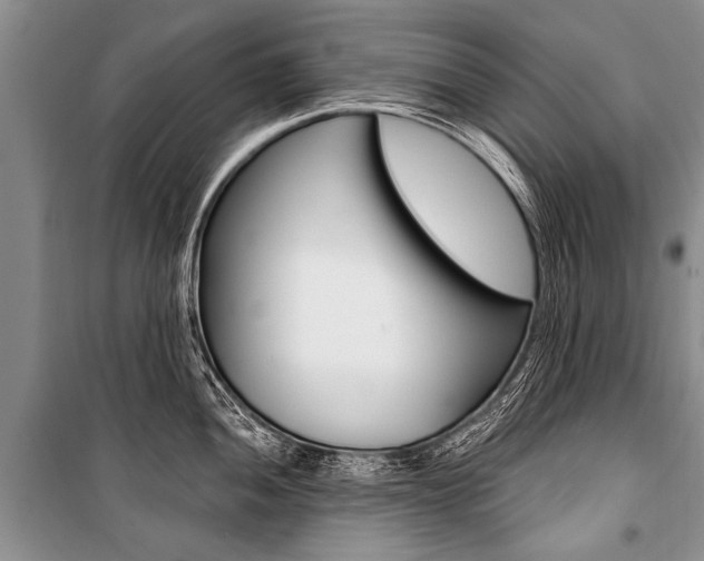 X0000101111052200806261104