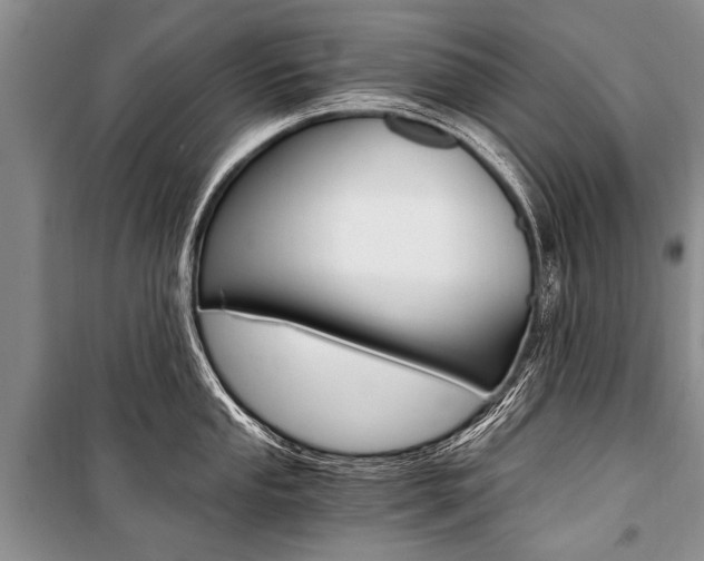 X0000101111053200806261104