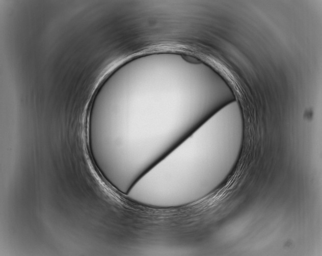 X0000101111055200806261104