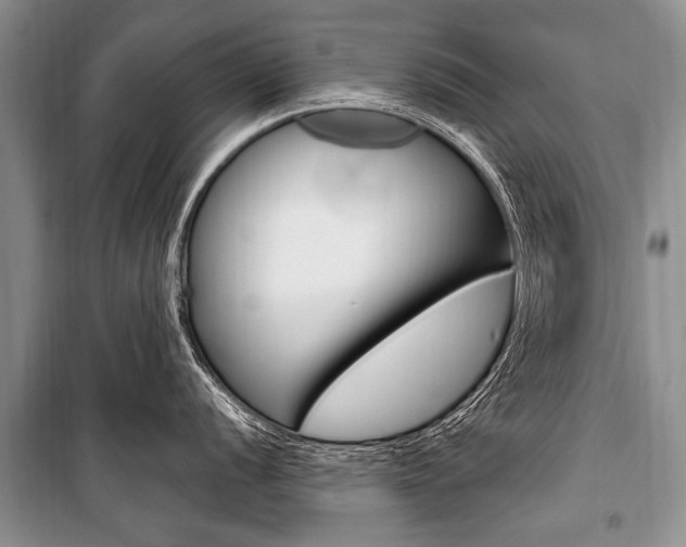 X0000101111056200806261104