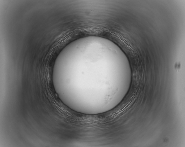 X0000101111058200806261103