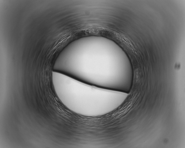 X0000101111060200806261103