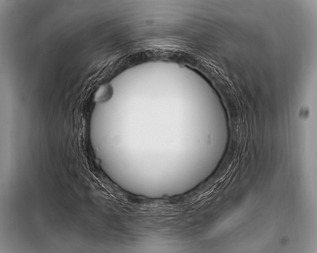 X0000101111061200806261103