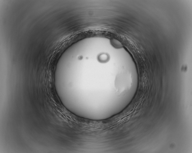 X0000101111062200806261103