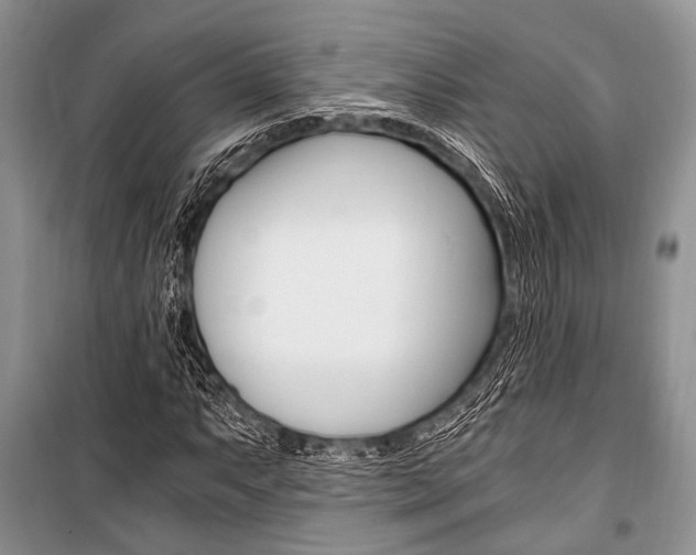 X0000101111063200806261103